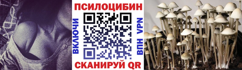 Галлюциногенные грибы мицелий  это формула  Курск 